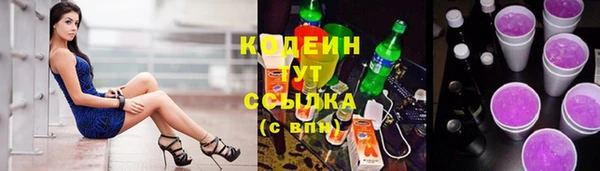 хмурый Новозыбков