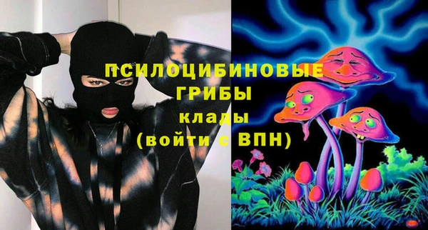 хмурый Бронницы