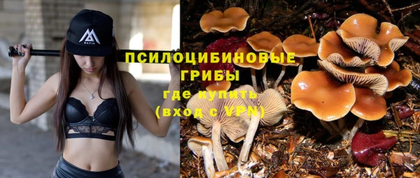 гашик Новокубанск