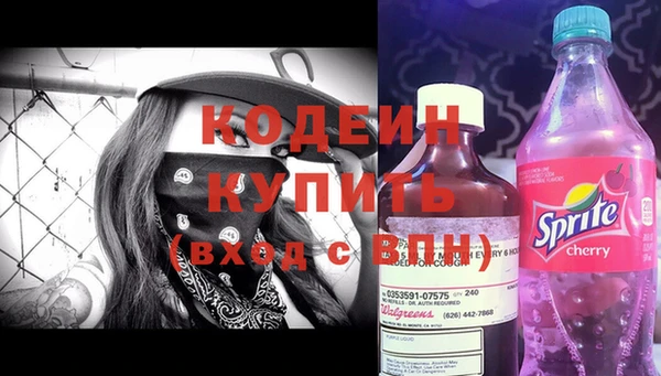хмурый Новозыбков