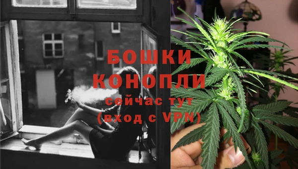 PSILOCYBIN Новодвинск