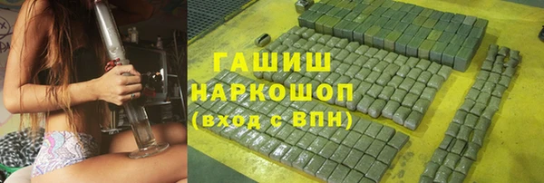 хмурый Новозыбков