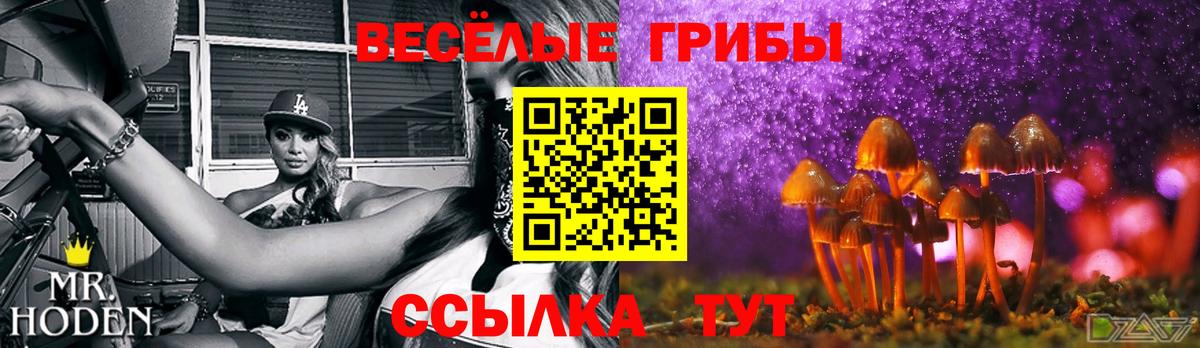Грозный  Галлюциногенные грибы GOLDEN TEACHER  Вход с VPN 