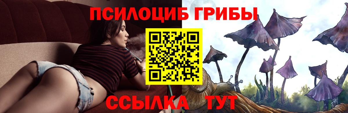 Галлюциногенные грибы Cubensis Грозный