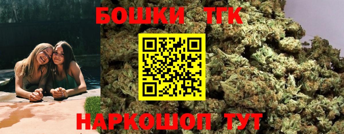 Каннабис планчик  Марихуана планчик  Грозный  Канабис OG Kush 